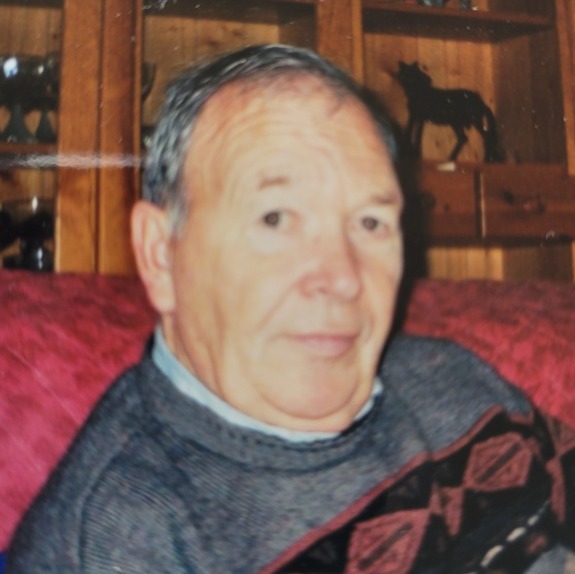 Photo de Monsieur Pierre BRISSAUD